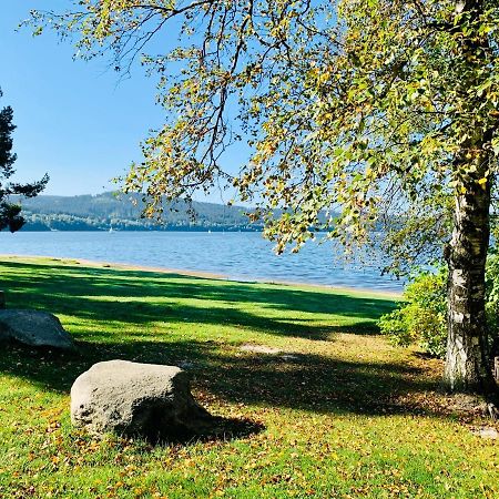 Riviera Lipno 502 Apartman 4Kk U Vody Lipno nad Vltavou Ngoại thất bức ảnh